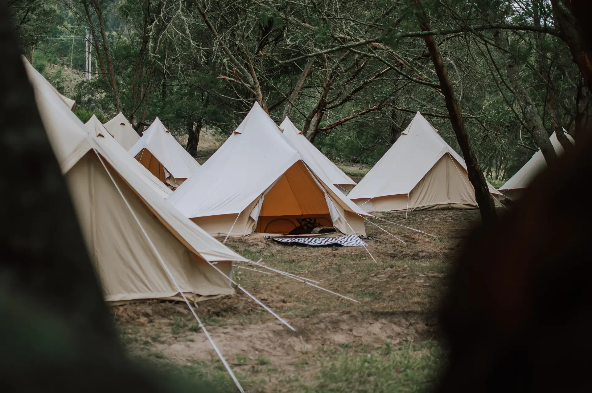 Rootsong 2027 Glamping - Image 2