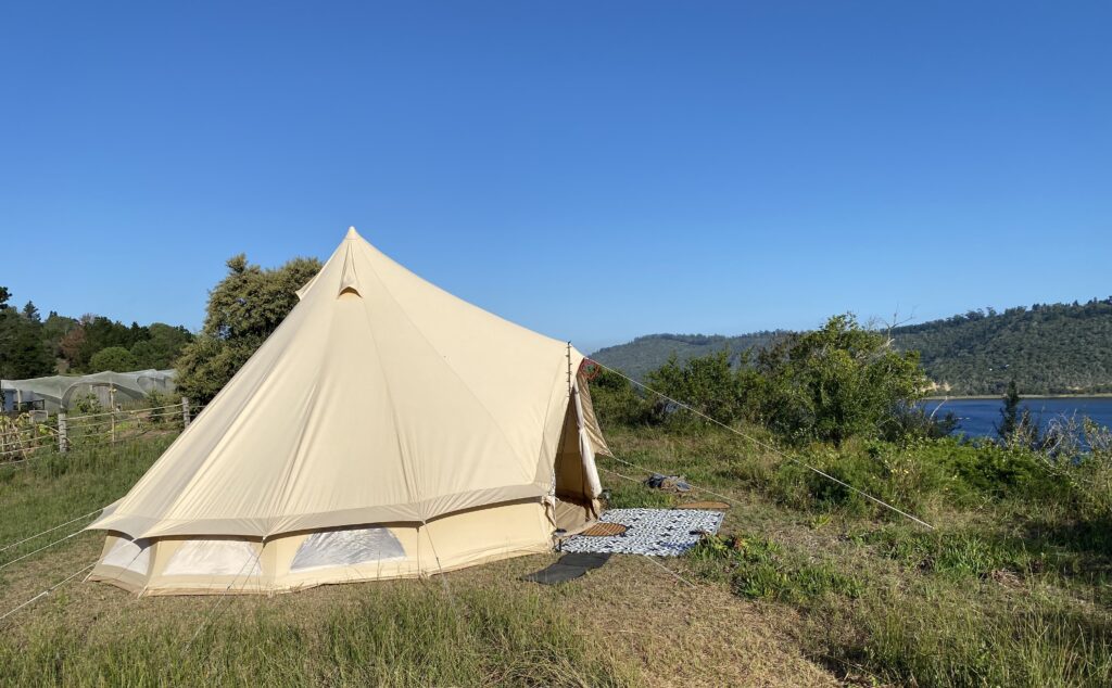 Day Visits & Glamping